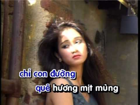 Dua Em Vao Ha Che Linh Karaoke U Sing