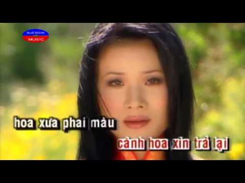 Karaoke   SC  LK Tha Trang Tha Den Lam Dau Xu La  Ngoc Ho Thao Suong