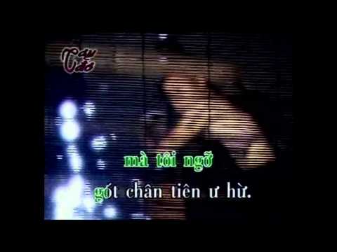 Karaoke Ca Dao Em Va Toi   Quang Linh