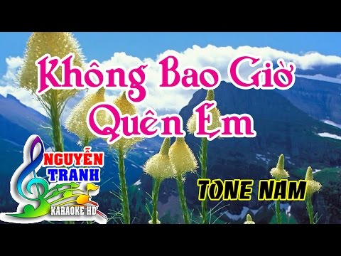 [Karaoke] Không Bao Giờ Quên Em - Tone Nam