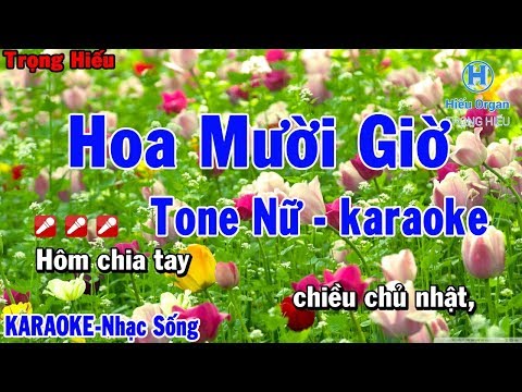 karaoke Hoa Mười Giờ Tone Nữ | Dương Hồng loan | Nhạc Sống | hoa mười giờ karaoke beat nữ