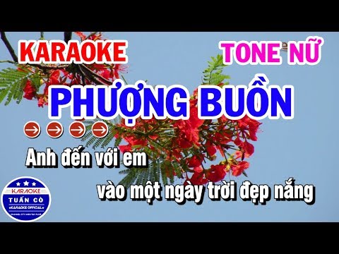 Karaoke Phượng Buồn | Nhạc Sống Tone Nữ Dễ Hát | Karaoke Tuấn Cò