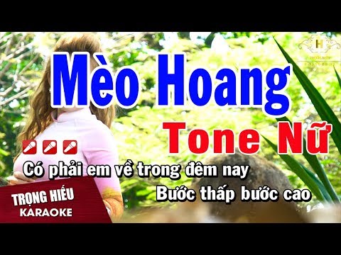 Karaoke Mèo Hoang Tone Nữ Nhạc Sống | Trọng Hiếu
