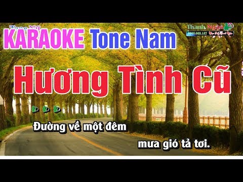Hương Tình Cũ Karaoke Tone Nam 8795 - Nhạc Sống Thanh Ngân