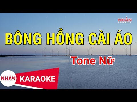Bông Hồng Cài Áo (Karaoke Beat) - Tone Nữ