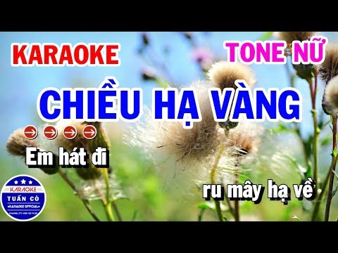 Karaoke Chiều Hạ Vàng Tone Nữ Bm Nhạc Sống || Karaoke Tuấn Cò