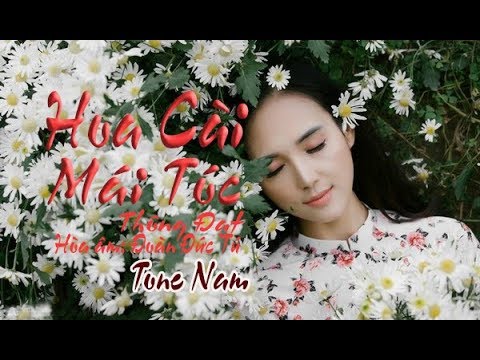karaoke Hoa Cài Mái Tóc |tone Nam|?