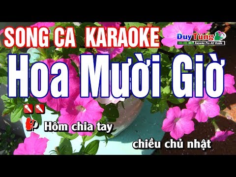 Hoa Mười Giờ Karaoke Song Ca - Nhạc Sống Duy Tùng