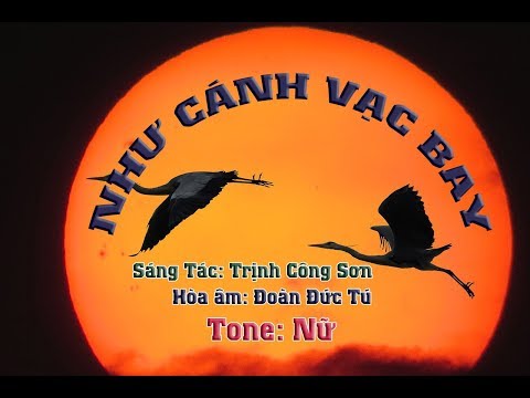 NHƯ CÁNH VẠC BAY (TCS) - Mộc & KhangHy 