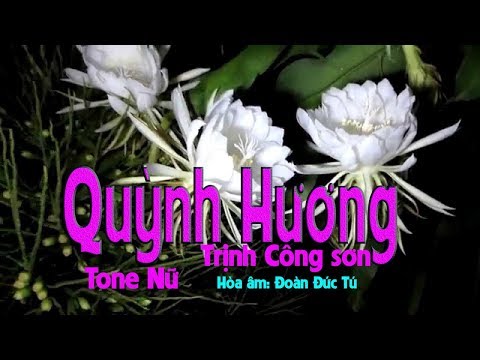 karaoke Quỳnh Hương (tone Nữ)?