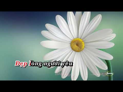 Đẹp Lòng Người Yêu - Karaoke - Song Ca (Beat Hà Thanh Xuân & Mạnh Quỳnh)