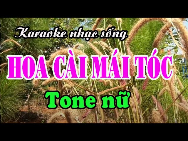 Karaoke HOA CÀI MÁI TÓC - TONE NỮ (Remix)