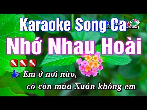 Karaoke ||  Nhớ Nhau Hoài Song Ca || Nhạc Sống Duy Tùng
