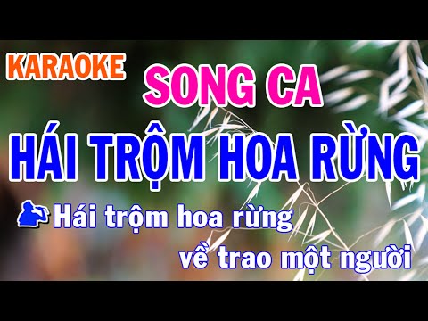Karaoke Hái Trộm Hoa Rừng Song Ca Nhạc Sống l Nhật Nguyễn