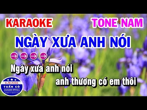 Karaoke Ngày Xưa Anh Nói | Nhạc Sống Tone Nam | Karaoke Tuấn Cò