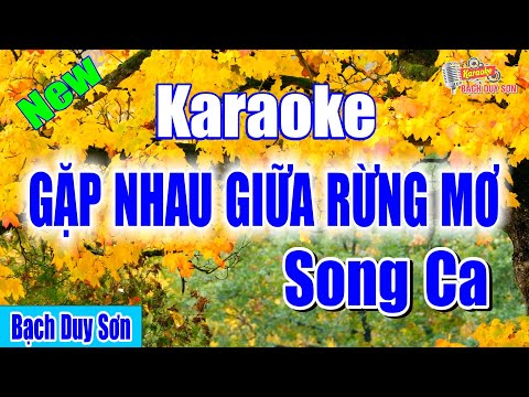 Gặp Nhau Giữa Rừng Mơ Song Ca karaoke | Bạch Duy Sơn
