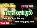 Karaoke Tình Dại Khờ Song Ca | Thái Tài