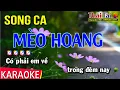 Karaoke Mèo Hoang Song Ca - Thái Tài
