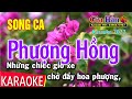 Phượng Hồng. SC. 