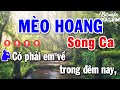 Karaoke Mèo Hoang Song Ca Nhạc Sống | Karaoke Bảo Kim